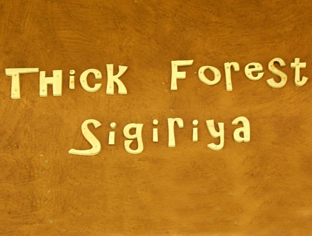 The Thick Forest Szigirija Kültér fotó